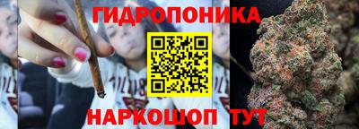 дурь Будённовск